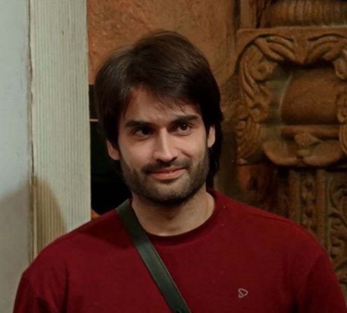 Vivian Dsena Bigg Boss 